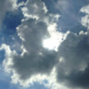 Meet your Posher, Southern randolphs